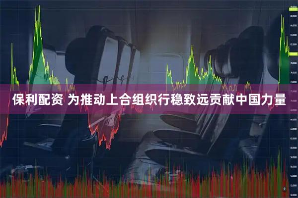 保利配资 为推动上合组织行稳致远贡献中国力量