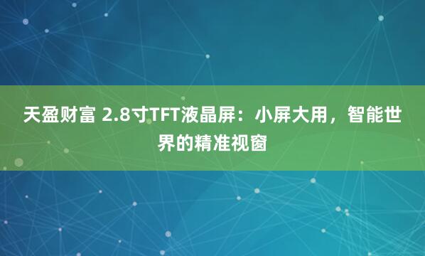 天盈财富 2.8寸TFT液晶屏：小屏大用，智能世界的精准视窗