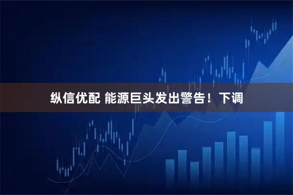 纵信优配 能源巨头发出警告!下调