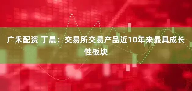 广禾配资 丁晨：交易所交易产品近10年来最具成长性板块
